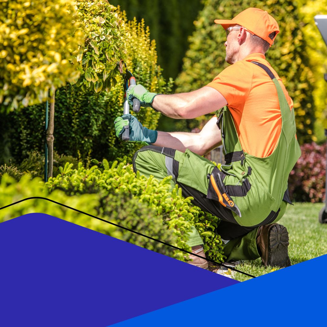 Limpeza, conservação predial e paisagismo